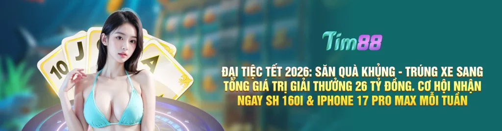 tim88